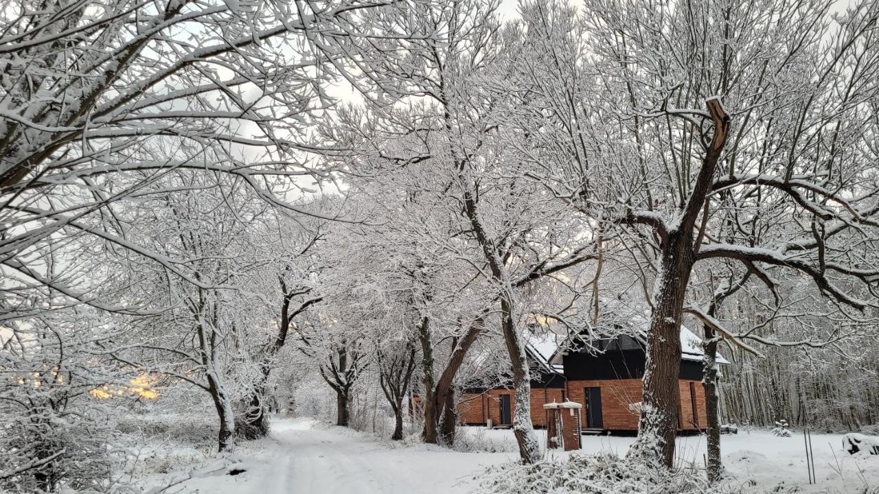 Czas Na Las Zarnowska Экстерьер фото